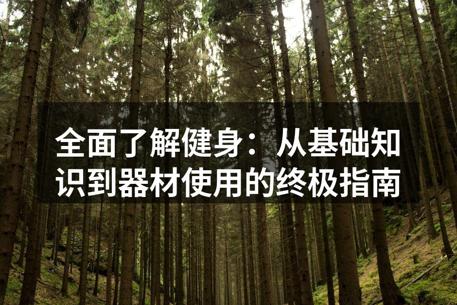 多样化的健身器材选择