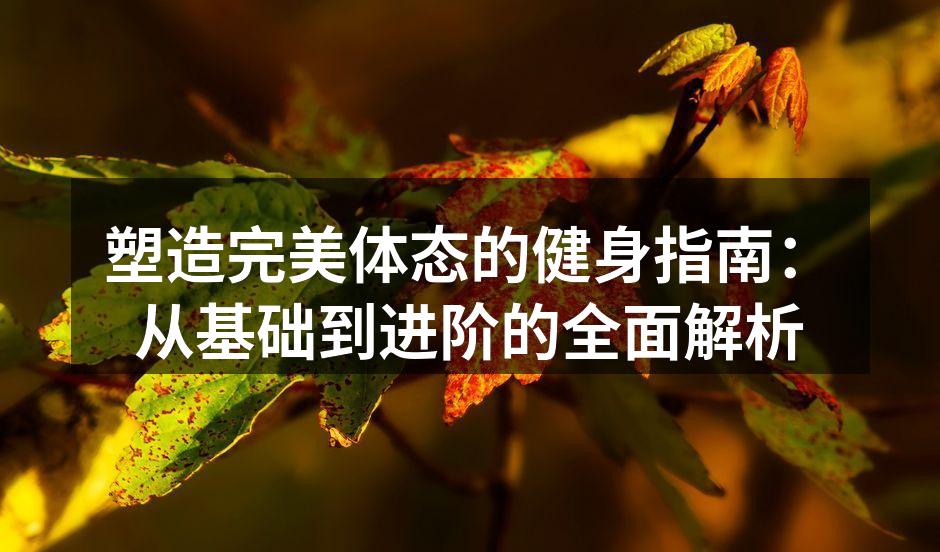 专业健身房的训练器材展示