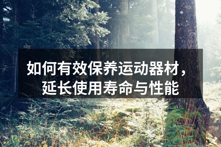如何有效保养运动器材，延长使用寿命与性能