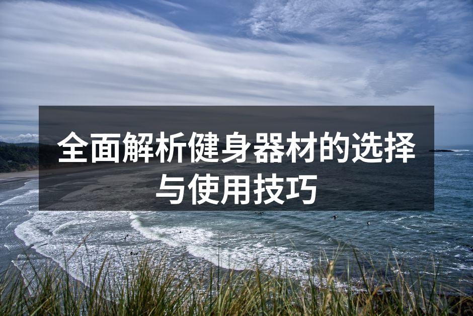 多款健身器材展示