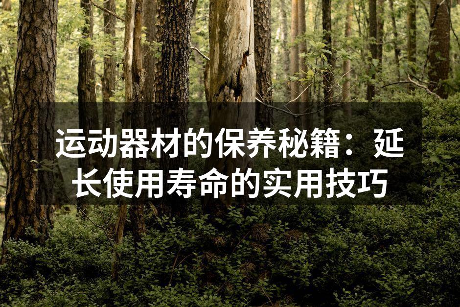 定期清洁运动器材可以确保卫生